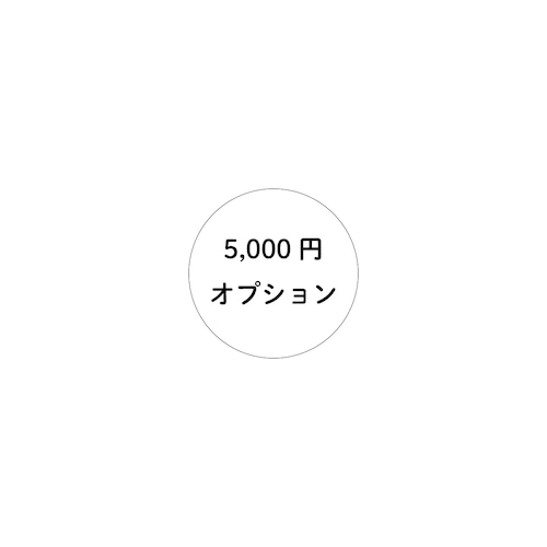 5,000円オプション