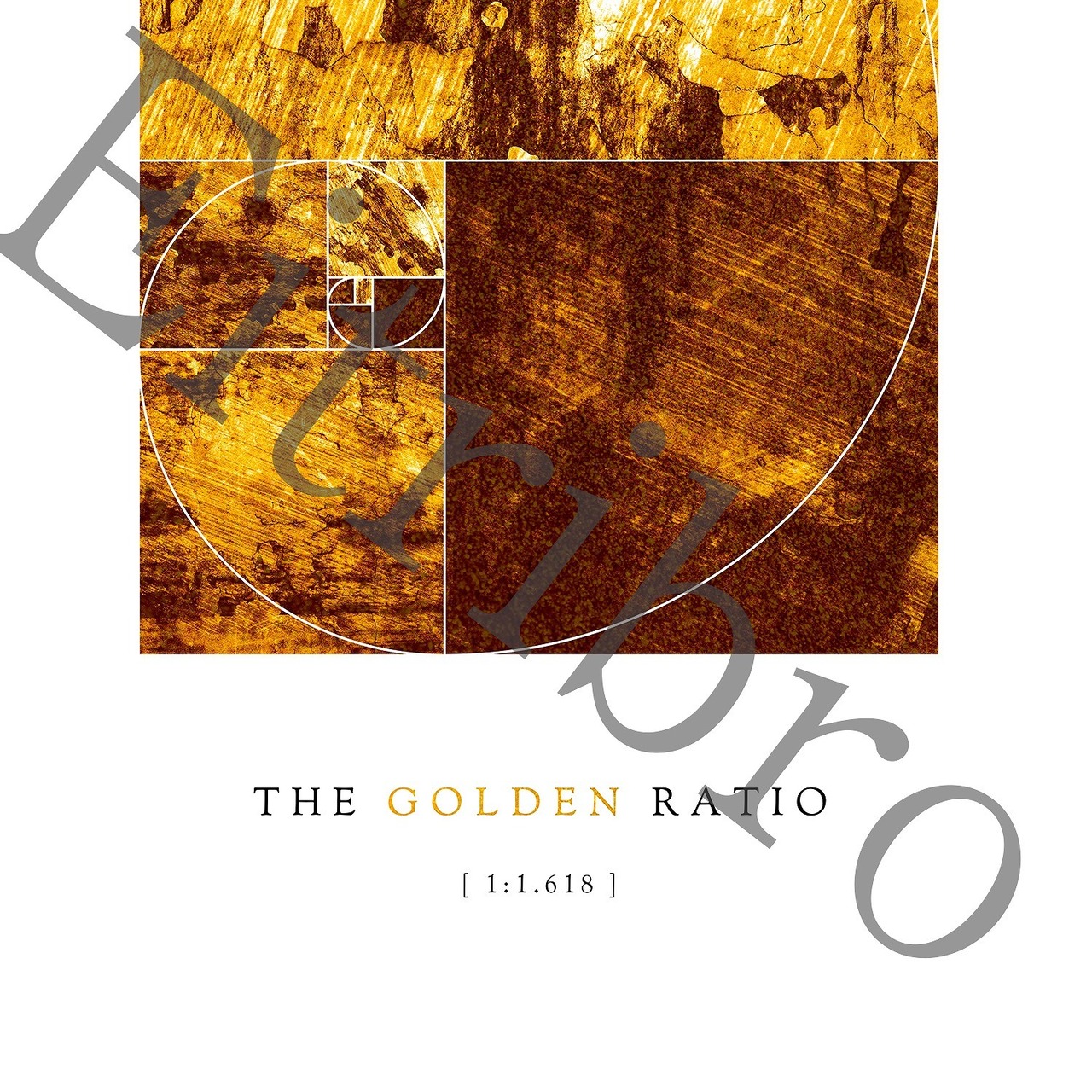 アートポスター / Golden ratio　eb069