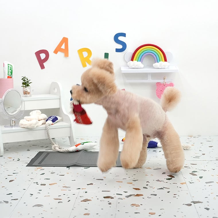 funny tube rope toy 4color / 犬 おもちゃ ロープ トイ 犬用 カシャカシャ 噛む 音が鳴る 鳴き笛入り 可愛い わんちゃん おもちゃ ストレス解消 韓国 ペット用品
