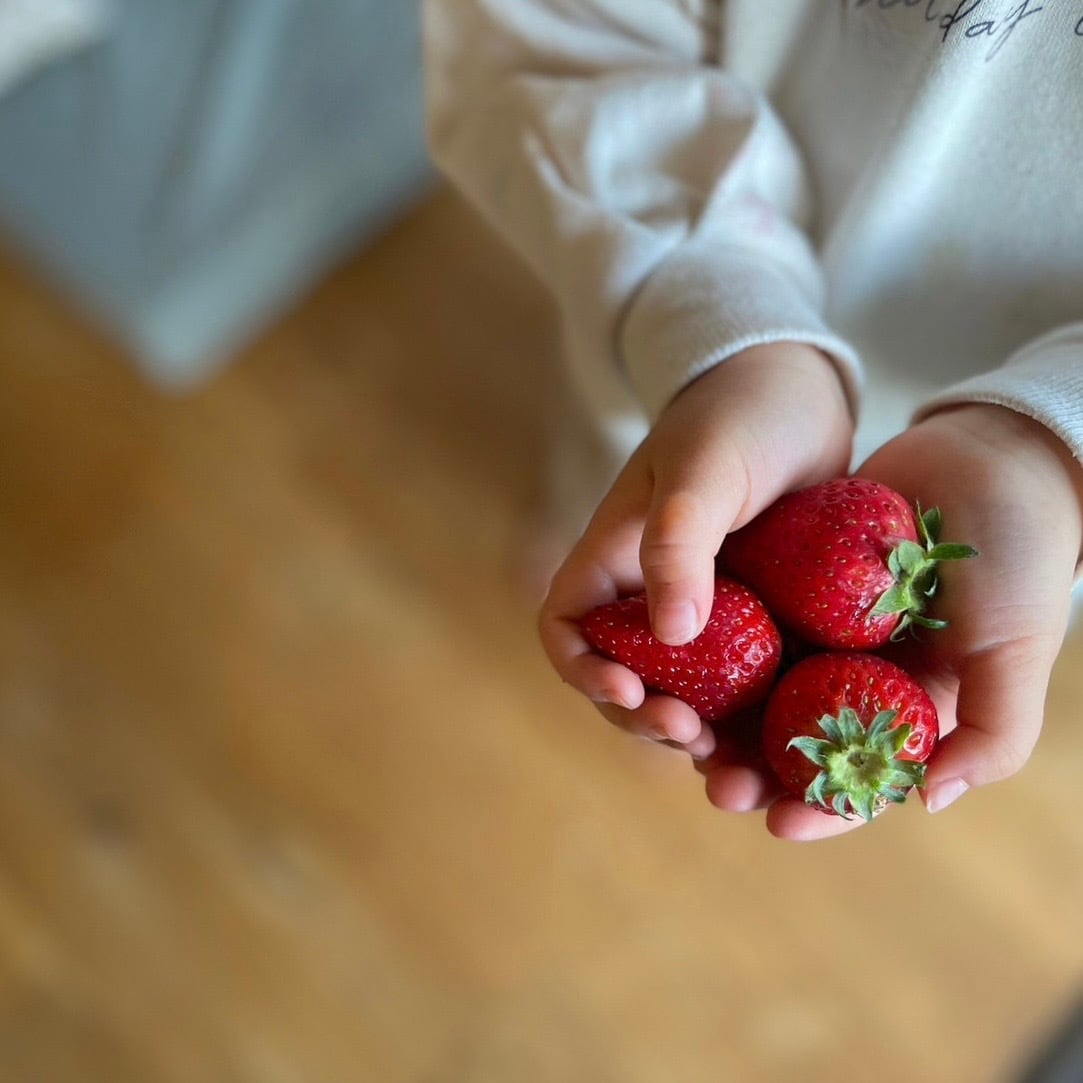 数量限定！予約販売】収穫したての有機いちご 瑠璃の宝石 250g×4パック