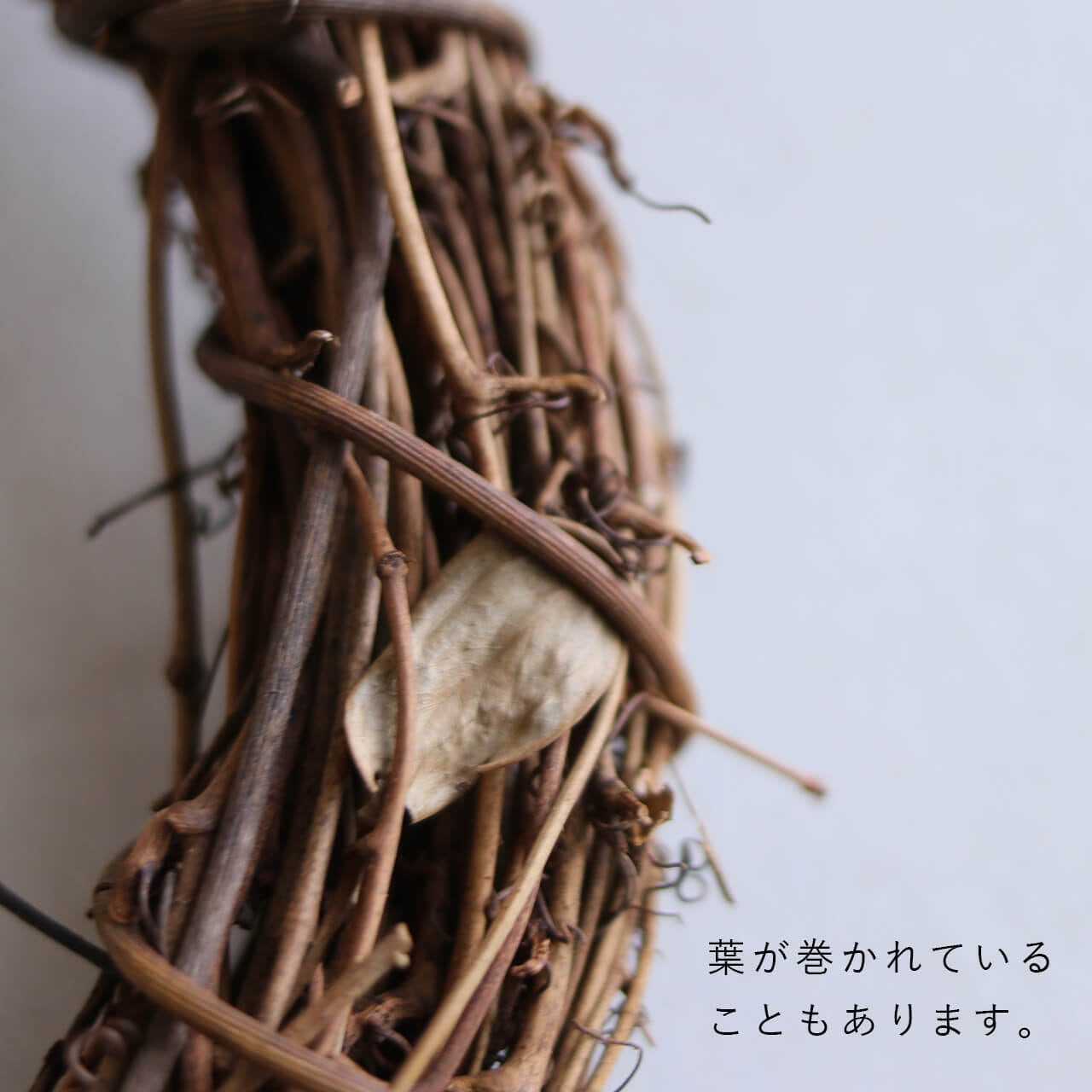 ひげづるリース15cm / リースベース ハンドメイド 土台 リース 輪