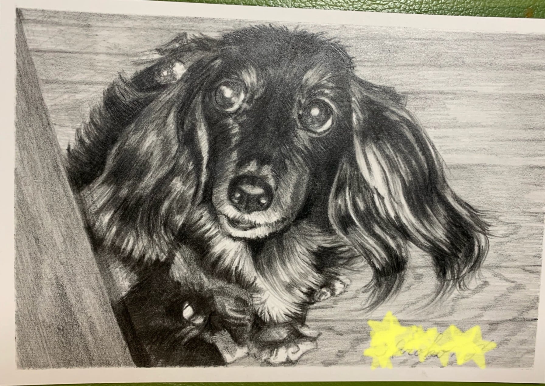 鉛筆画 オーダー画面 オーダーメイド鉛筆画(ポストカードサイズ) | ペットの肖像画屋さん
