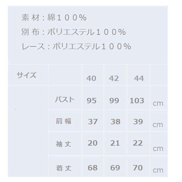 スーパービューティー カットソー 胸元バラ柄 ロングTシャツ 2512012