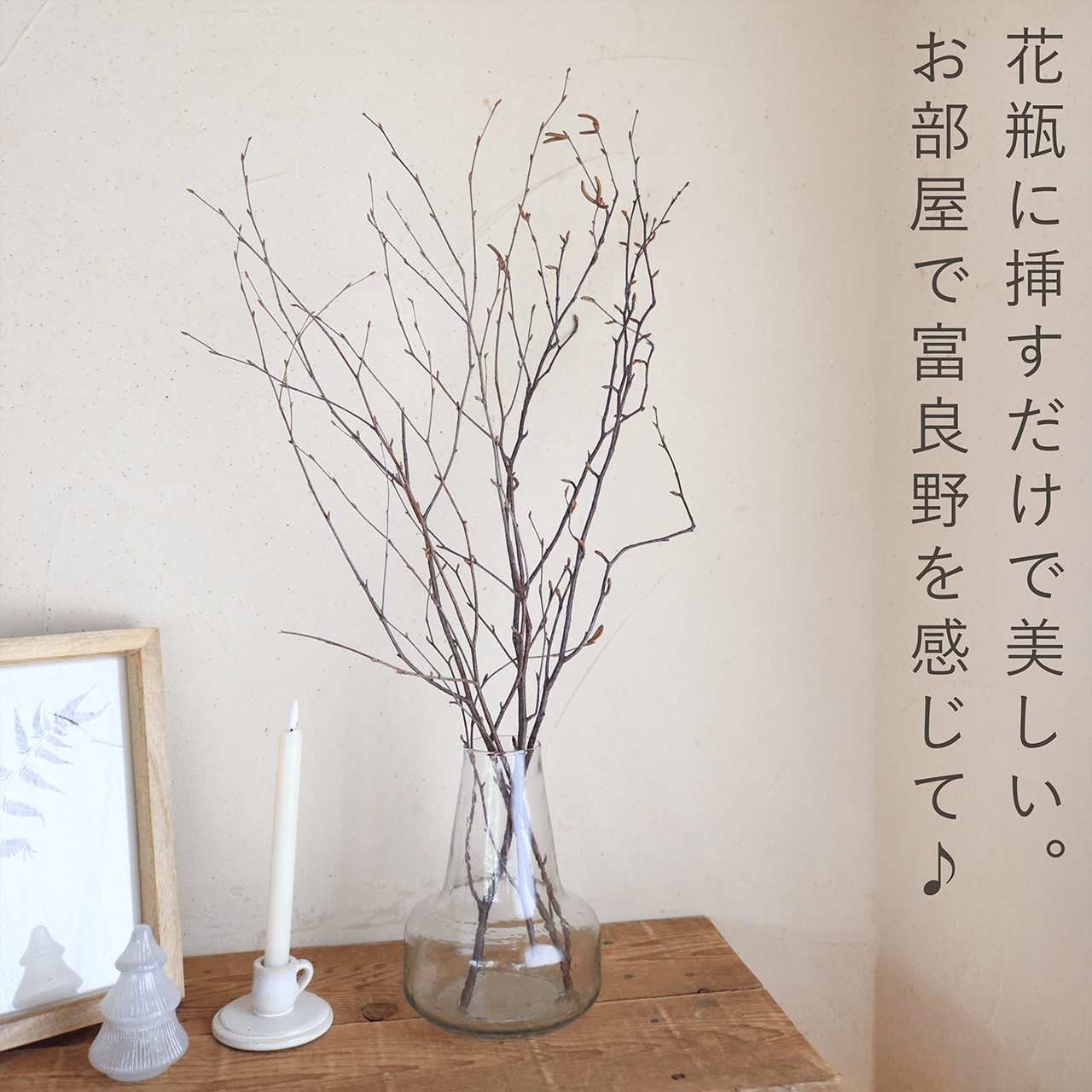 富良野産】白樺の枝 ロング ブラウン ドライフラワー ◇ ナチュラル