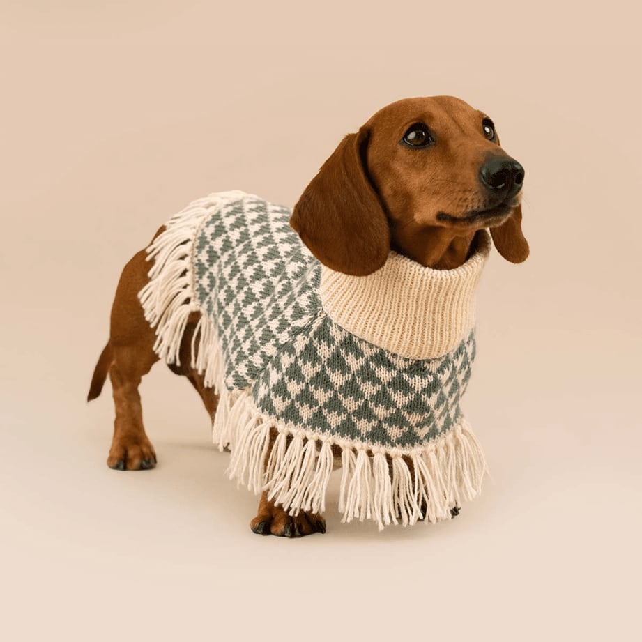 【Alqo Wasi(アルコワシ)】トライアド アルパカ ドッグ ポンチョ グリーン/Triad Alpaca Dog Poncho