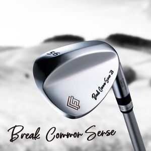 Break Common Sense Wedge