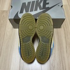 DUNK LOW PRO SB HOMER 304292-173