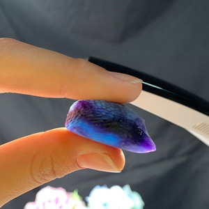 15ハリネズミフローライト