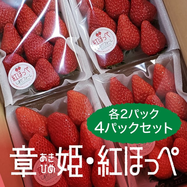 朝採れ食べ比べいちごセット 章姫あきひめ・紅ほっぺ4パック〈月・水