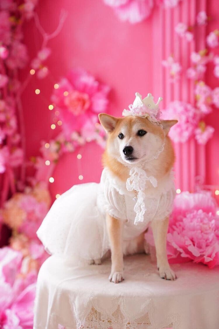 フル/セミ オーダーメイド受け付けページお子様だけの