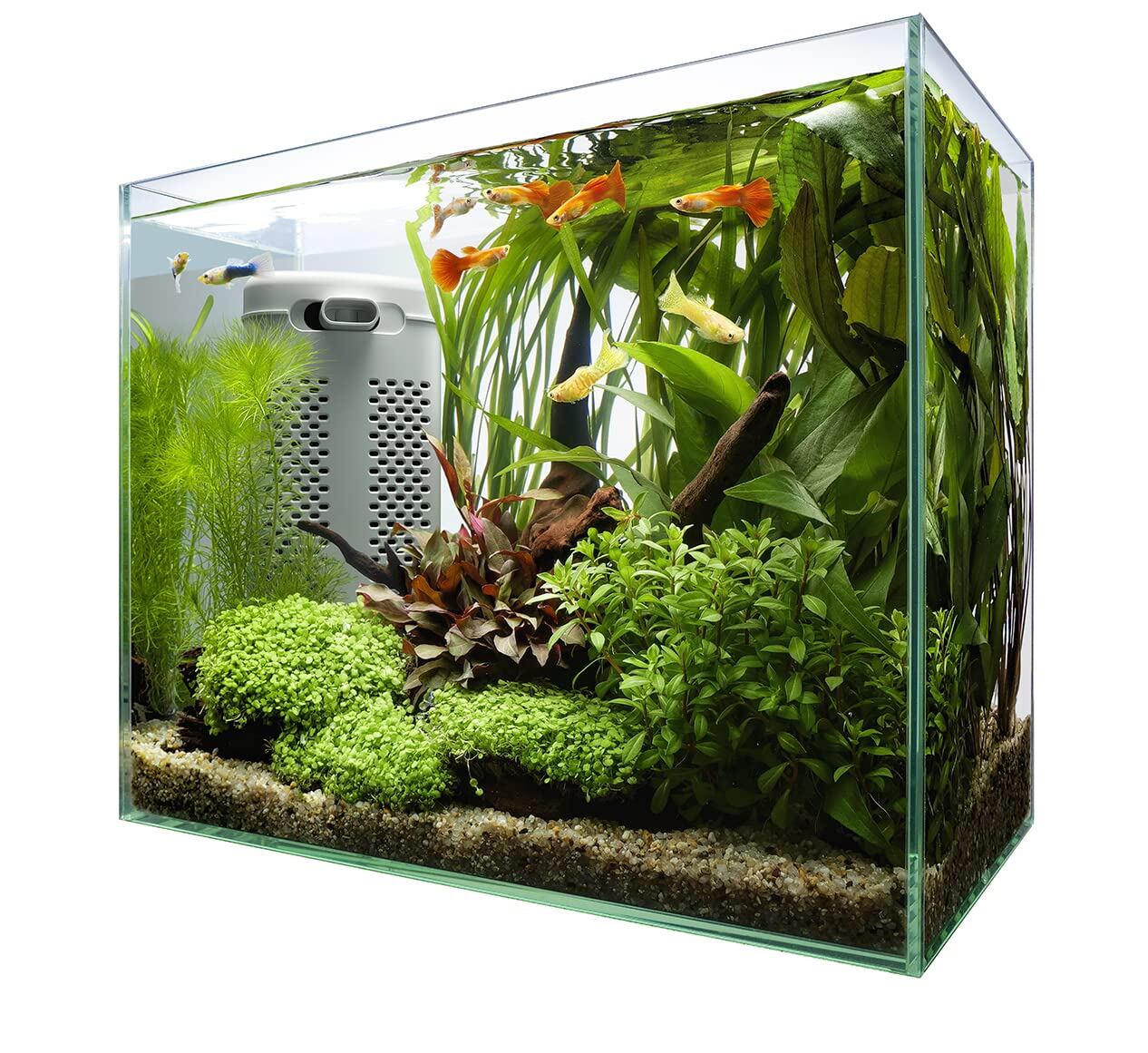 テトラ (Tetra) ガラス 水槽 オールグラスアクアリウム GA-420F 水槽