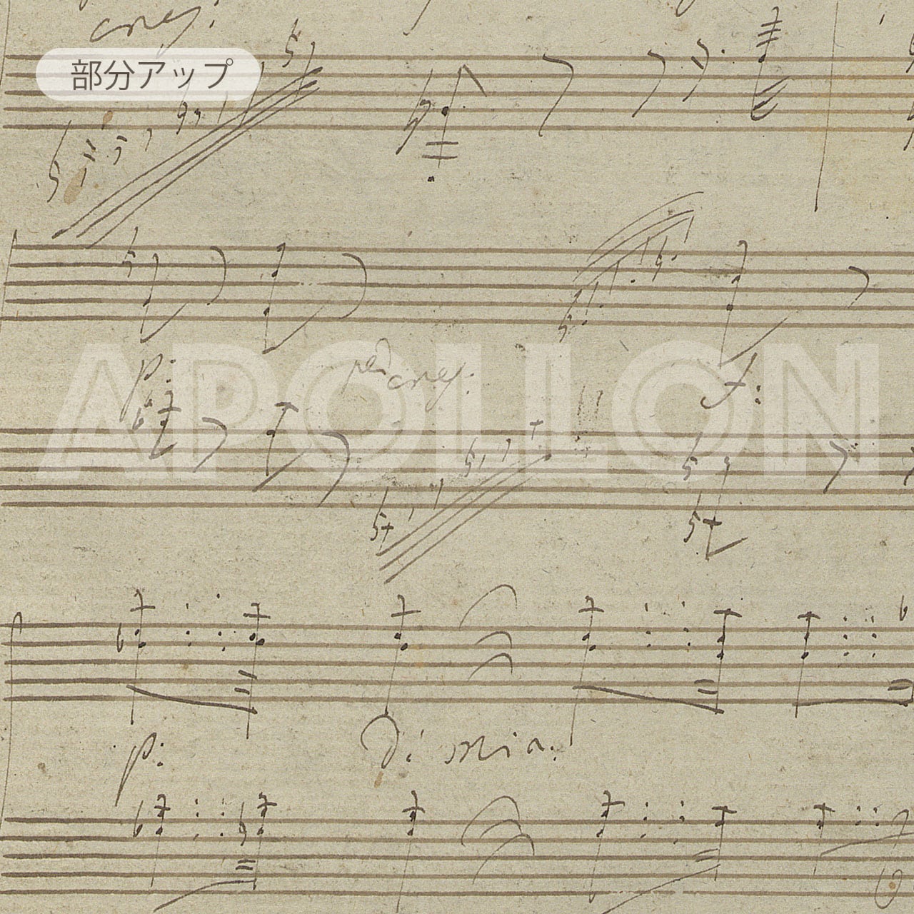 ベートーヴェン 自筆譜アートフレーム：ピアノソナタ第32番 ハ短調