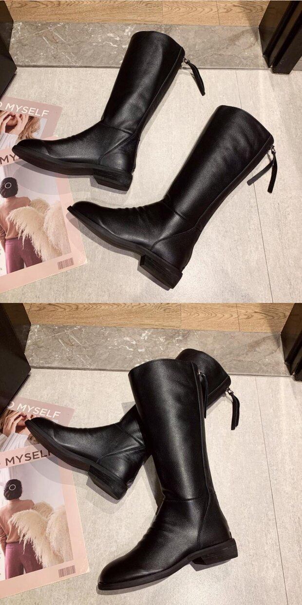 カニスファミリアス 靴確認用 カニスファミリアス 靴確認用 カニスファミリアス 靴確認用