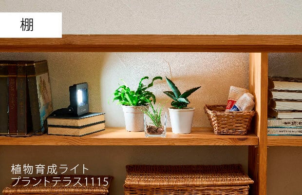 植物育成ライト プラントテラス1115 スタンド LED照明 太陽光 簡単