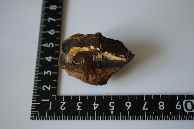 ボルダーオパール  Boulder Opal  992