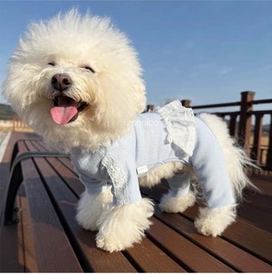 予約  【pecoramou select】 Larbo AllinOne（Blue）