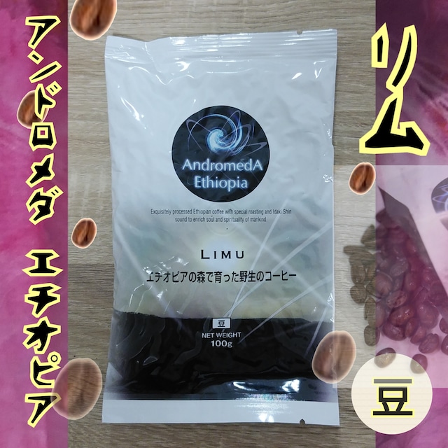 希少な野性のコーヒー豆☆原生林で自生したアンドロメダ エチオピア コーヒー「リム」100g豆