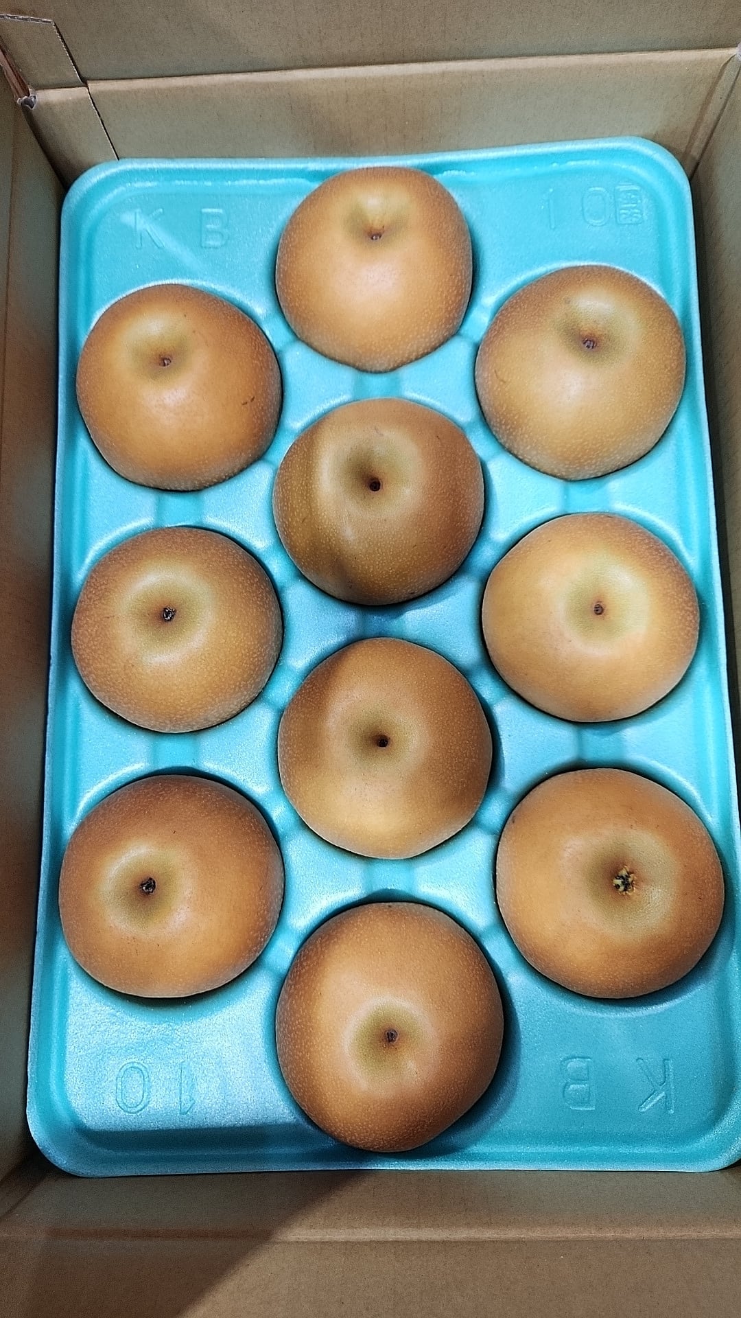 特別販売※【南水（梨）5㎏箱】提携農家応援商品（正味重量約4