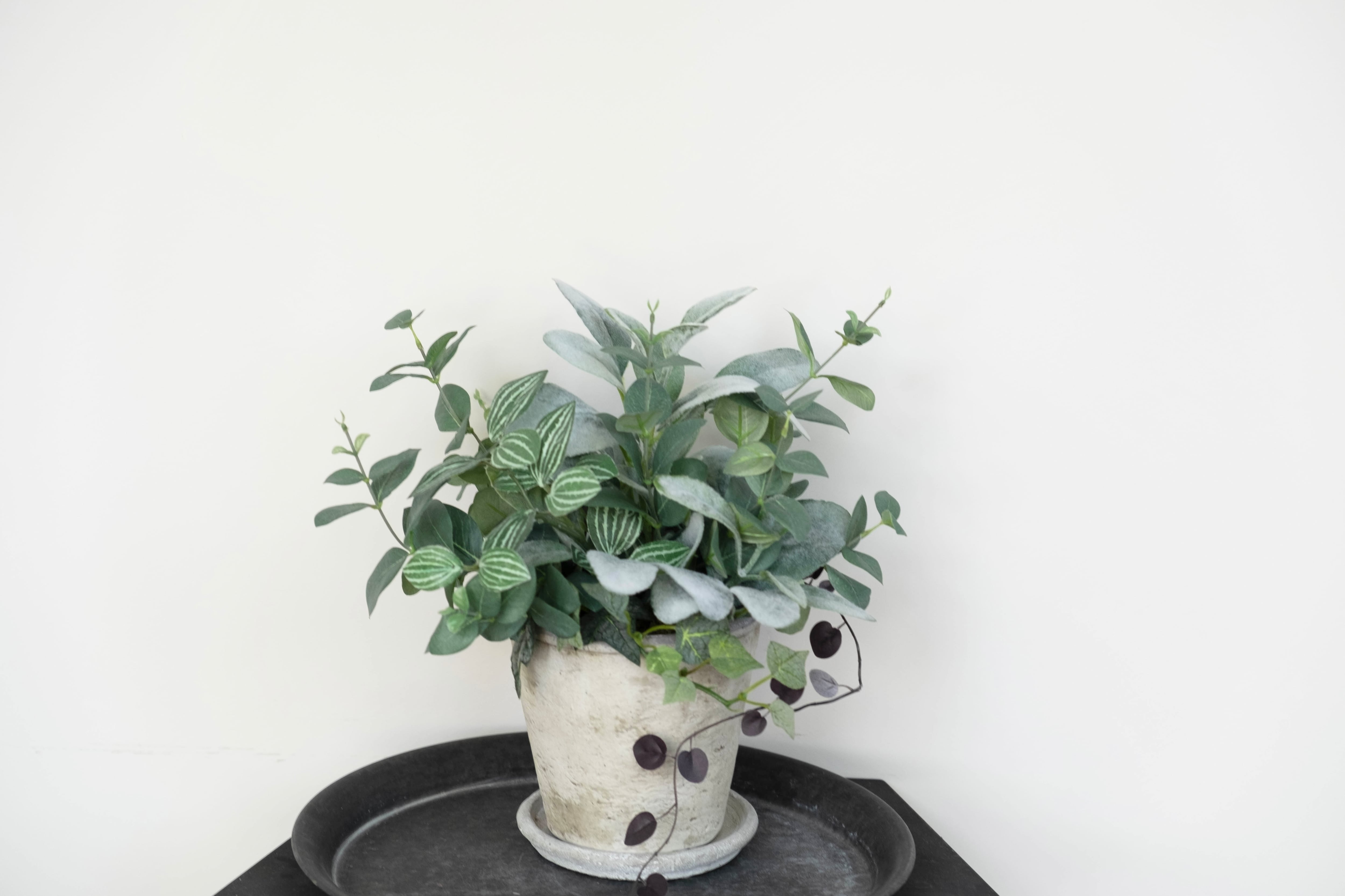 グリーン寄せ植えMix pot/アーティフィシャルグリーン/フェイク