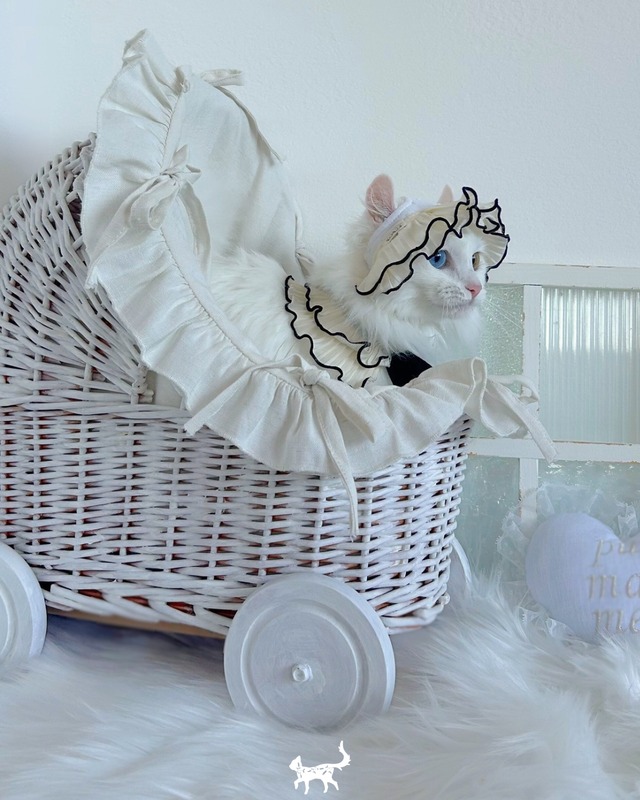 即納 ウェディングフリル帽子＆スタイ  2set 【韓国ブランドDALDANG】