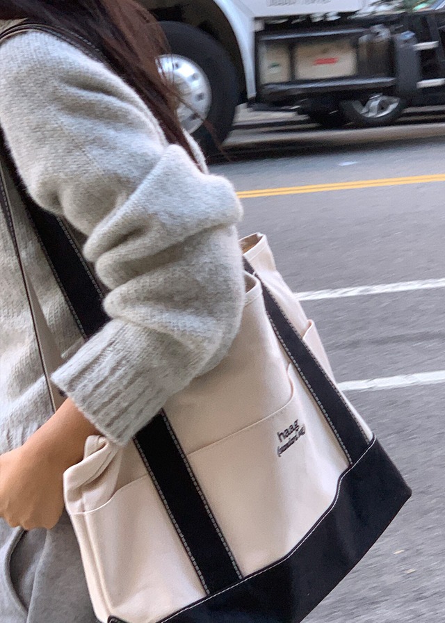 (即納) haag / A standerd bag Large