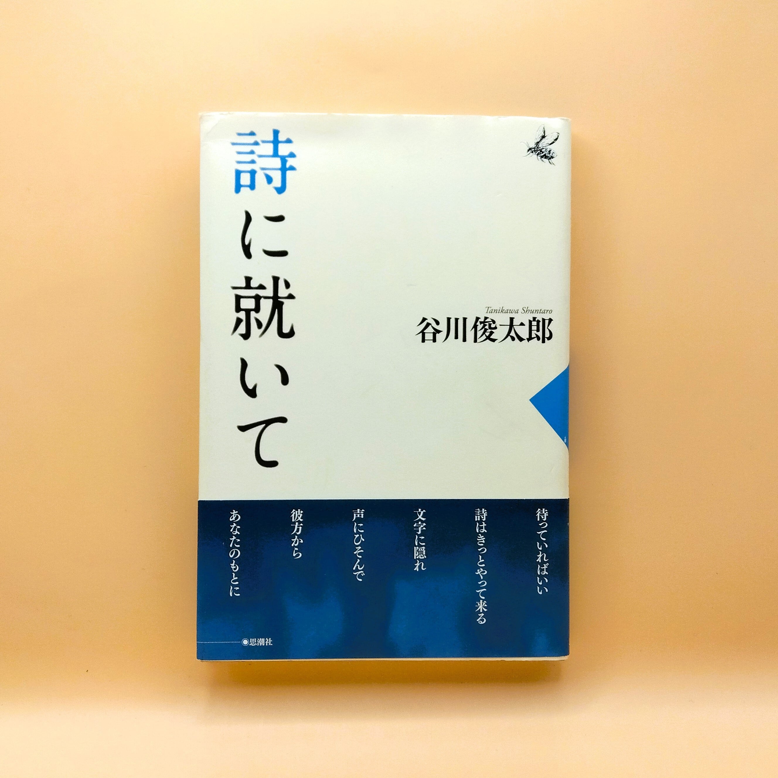 小笠原鳥類詩集(現代詩文庫 222) | まわりみち文庫 小笠原鳥類詩集(現代詩文庫 222) | まわりみち文庫