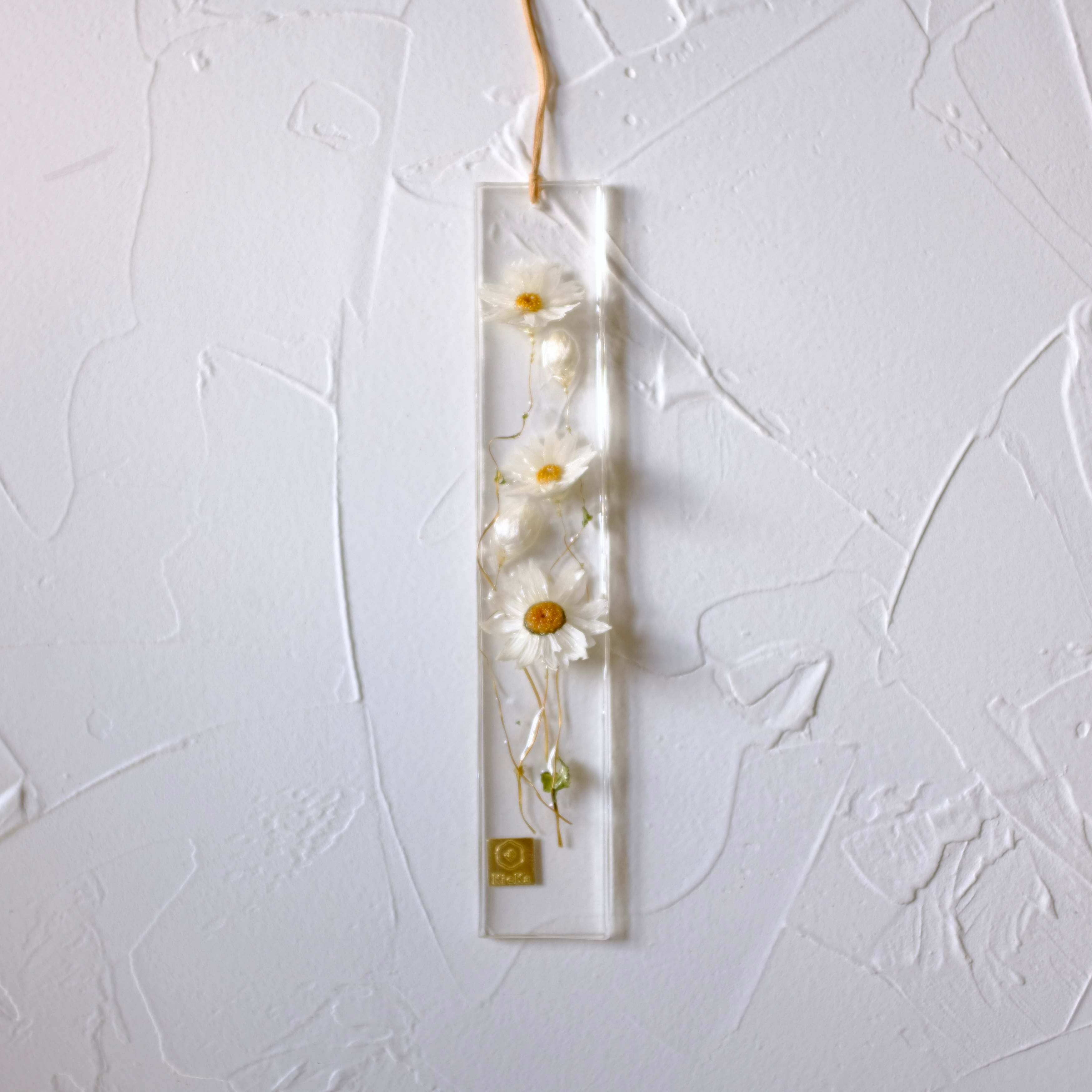 dried flower S ローダンセ ホワイト | KieKa