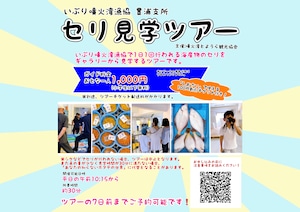 ≪体験する≫セリ見学見学ツアー　　　　　　　　　　　　　　　　　（※ツアー希望日の７日前までに予約してください）