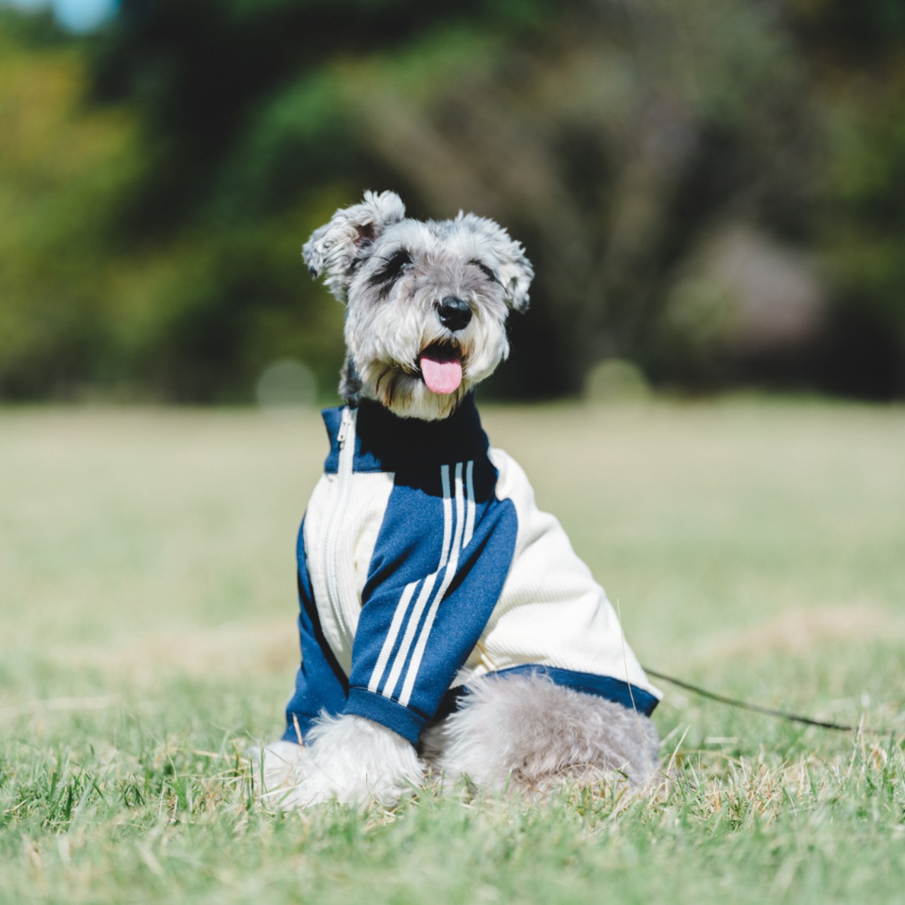 Best Partner's Jersey