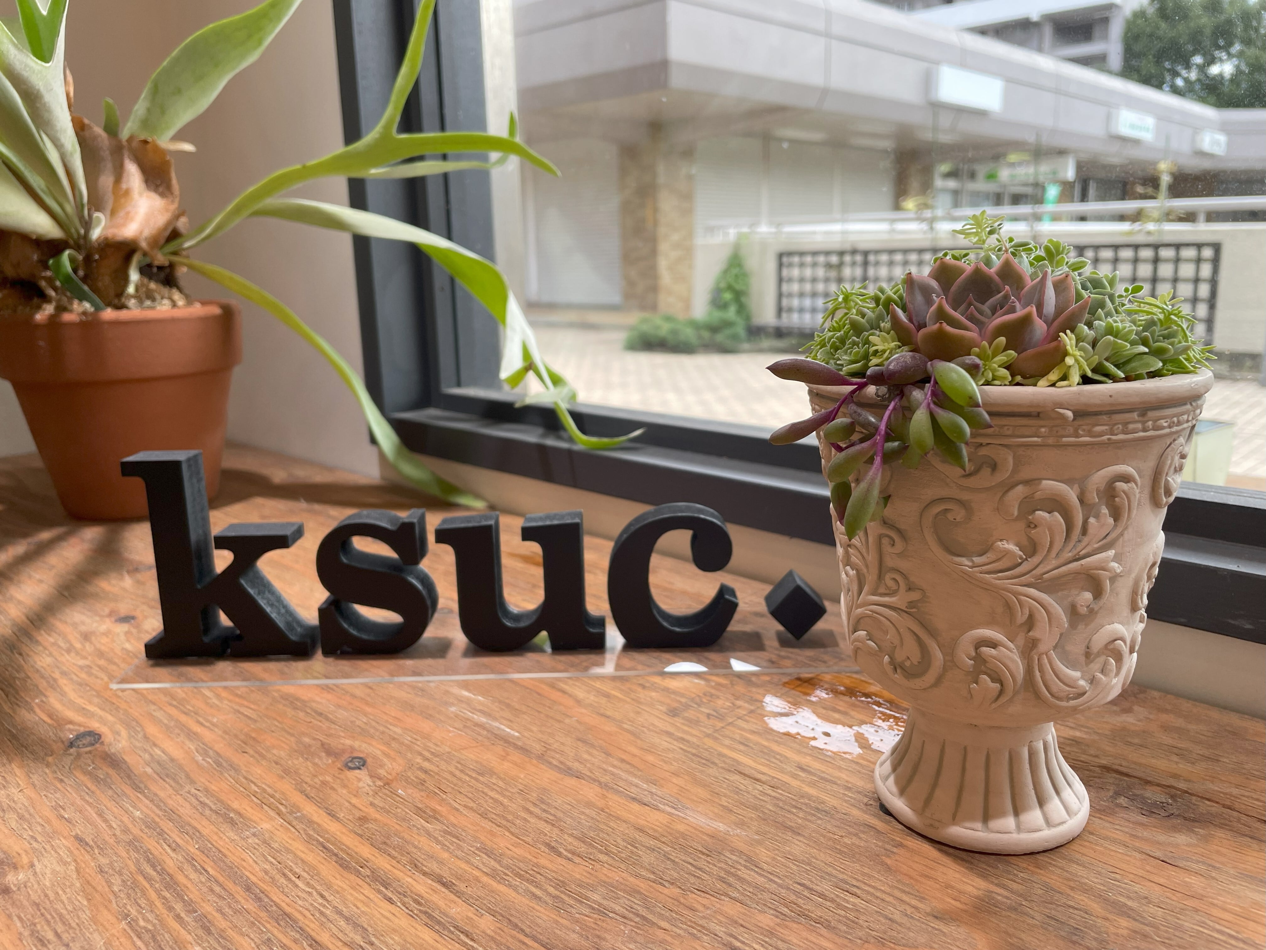 大和プラスチック ファイバーグラスシリーズ サークル 100型 ブラック （底穴なし） 大和プラスチック ファイバーグラスシリーズ サークル 100型 ホワイト