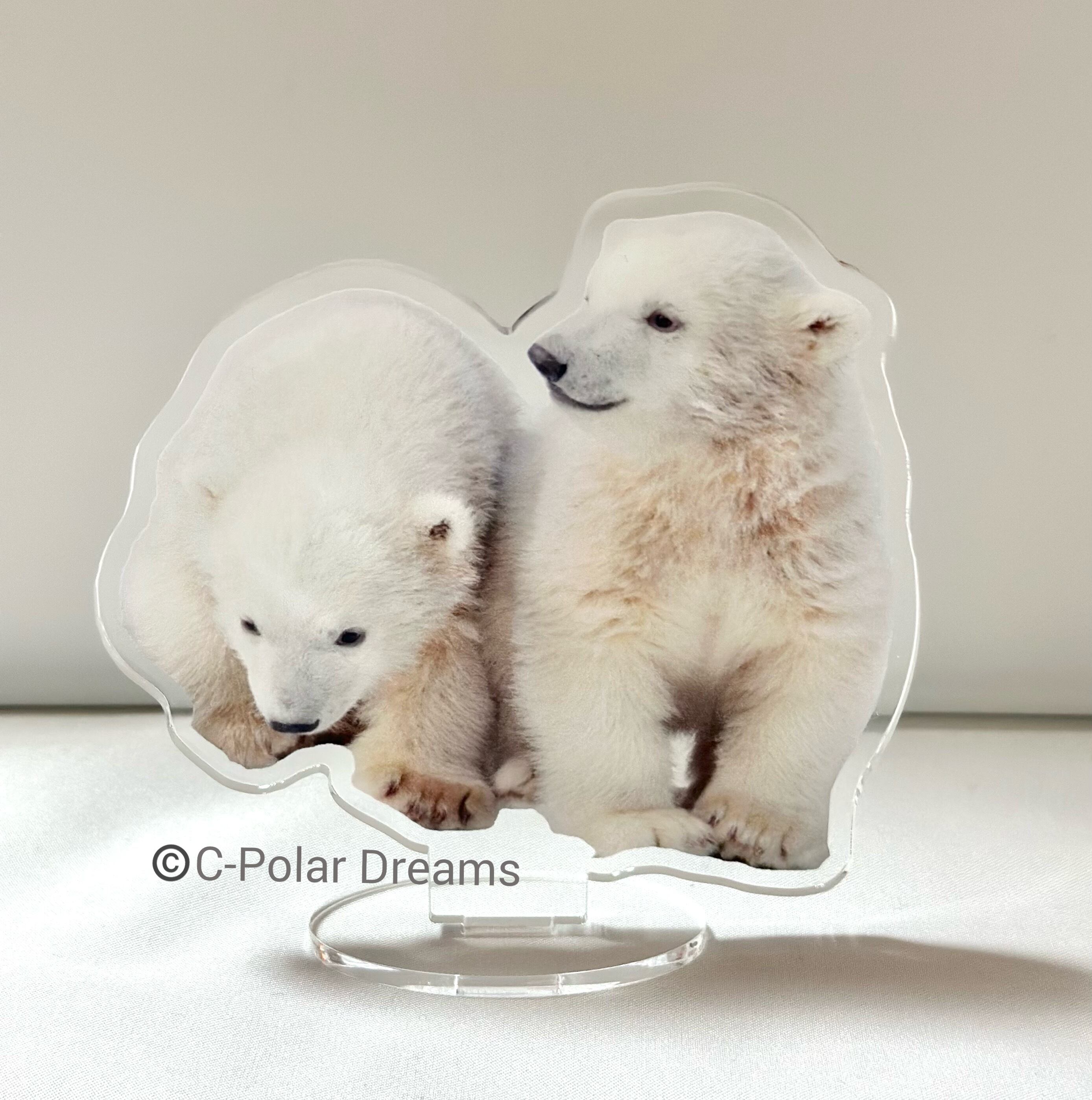 10cm ポロロとマルル アクリルスタンド | C-Polar Dreams