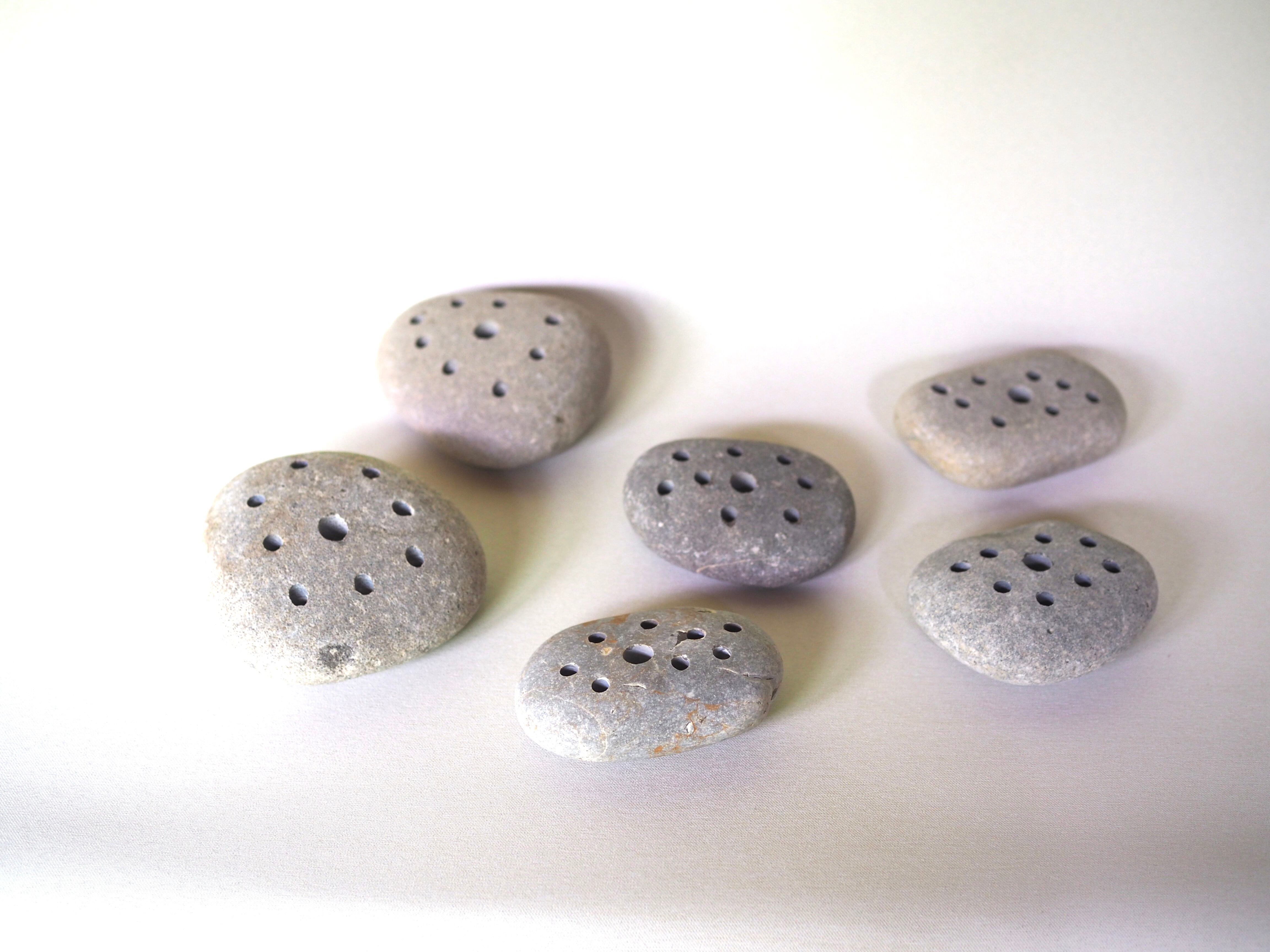 FROG STONE(石の剣山) | 花屋ぼたん