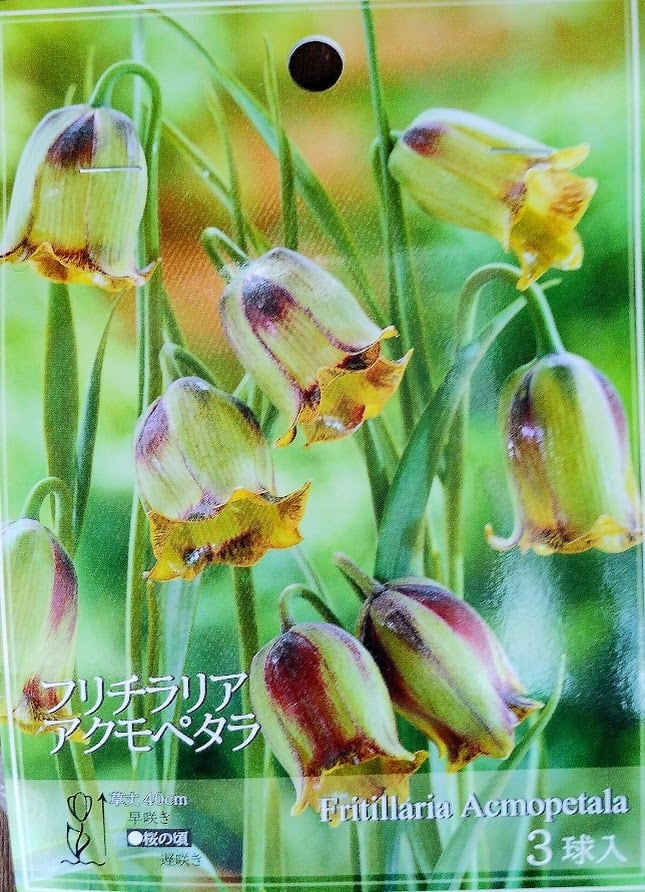 14be1ad1d891842403bb4addc867da