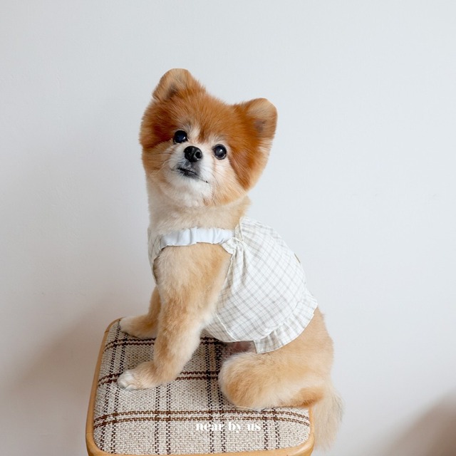 【予約】[near by us] beige check crop (ivory)