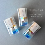 夏休みUSBメモリー 16GB