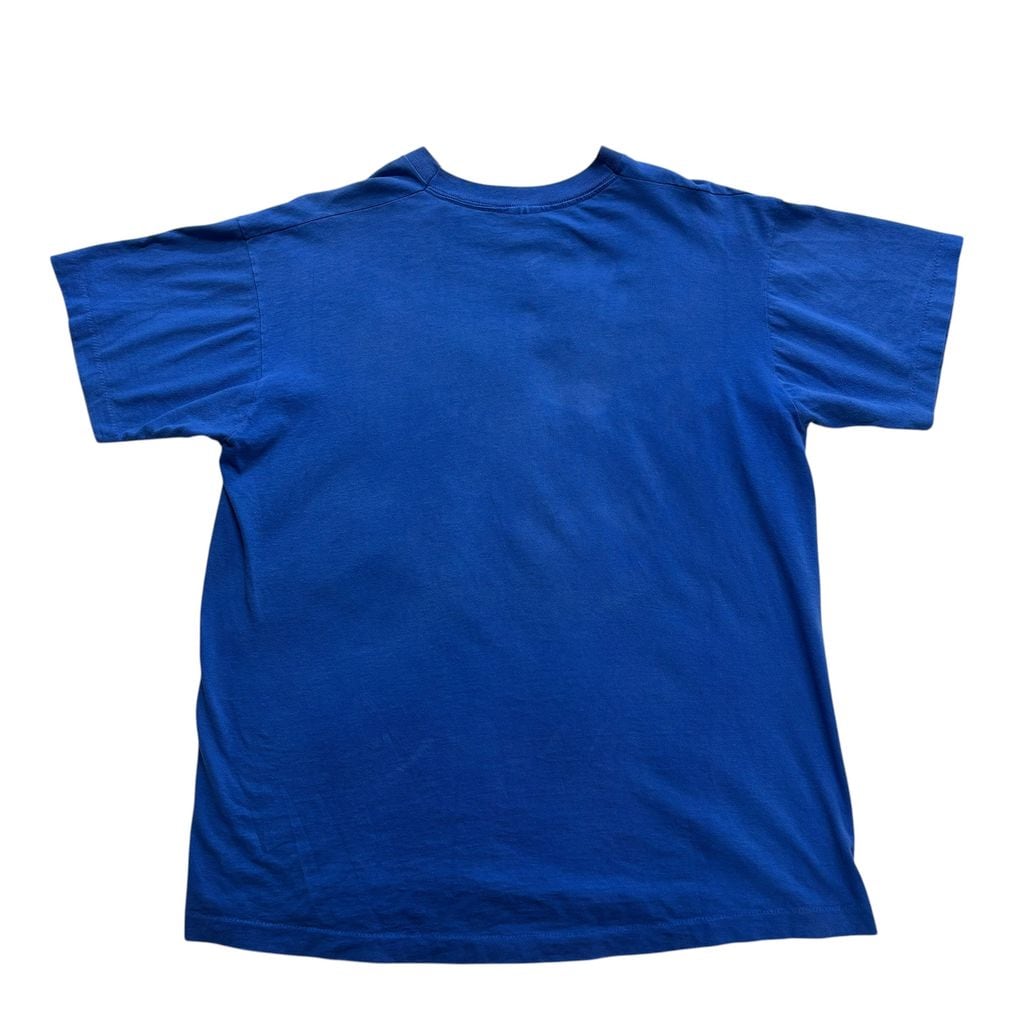 90s カリフォルニアレーズン サーフ Tシャツ XL 青 シングルステッチ I