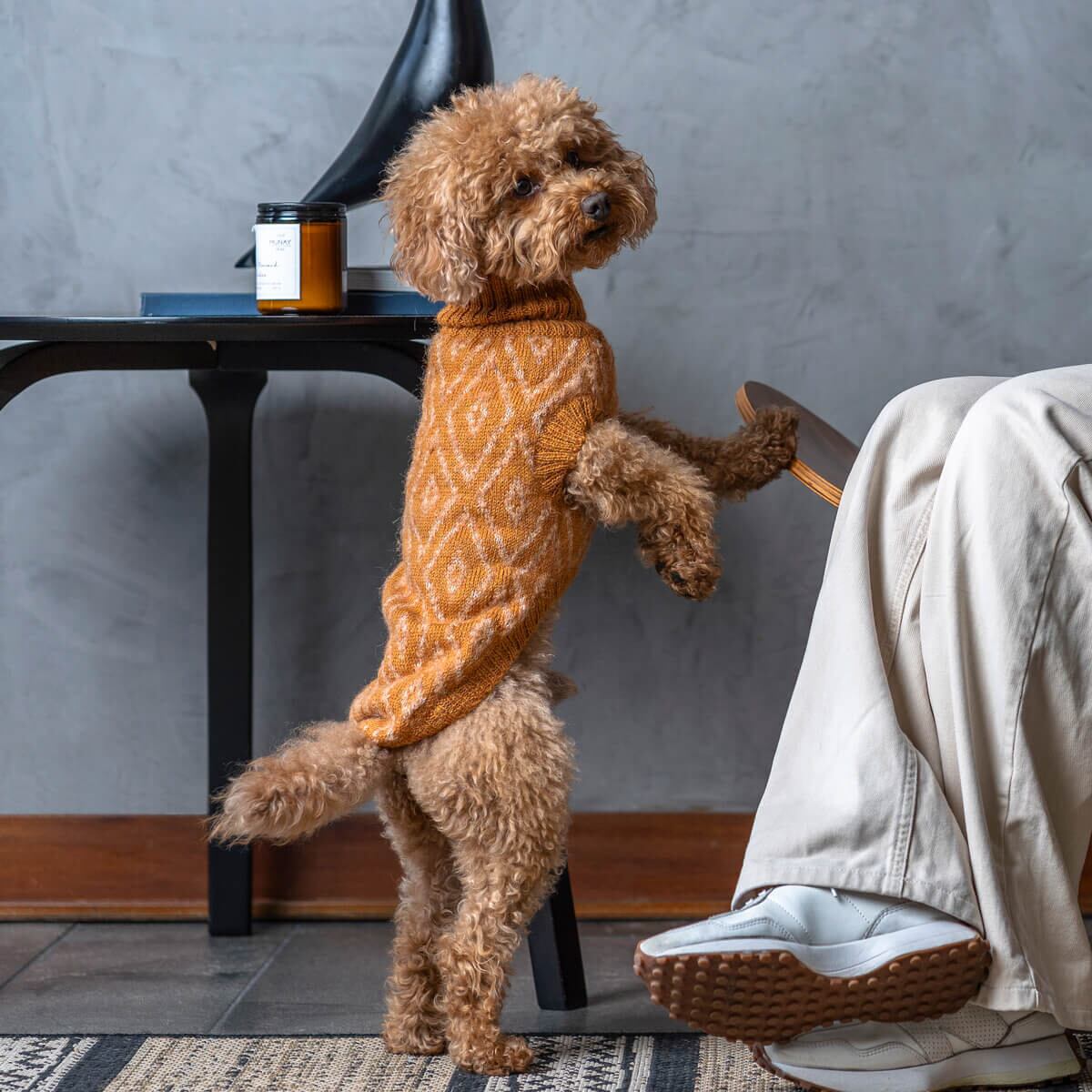 Alqo Wasi ゴールデンオーカー アルパカドッグセーターL〜XL | Pay ID