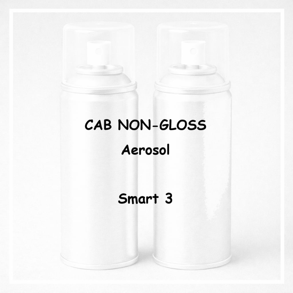 【送料無料3本セット】CABノングロスエアゾール Smart3