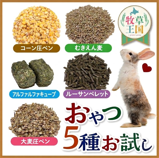 牧草王国　おやつ5種お試しパック 50g×5種類