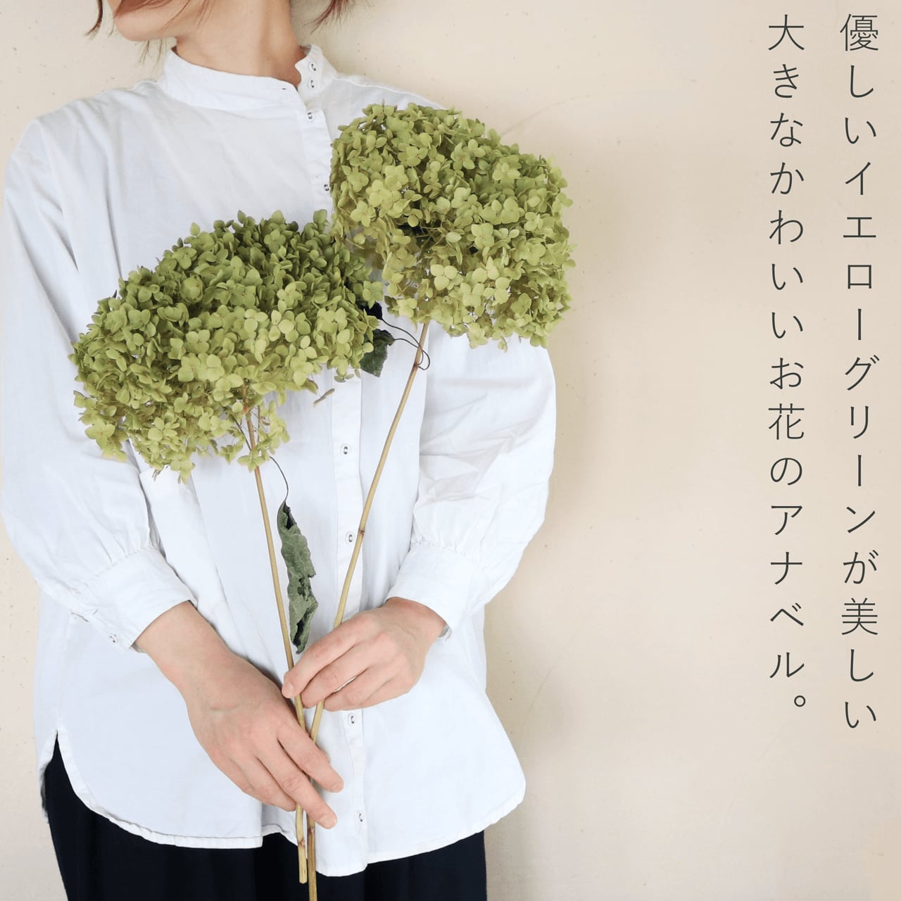 001アナベルスワッグ gOHM1-m17000998574 | mlholding.mn 