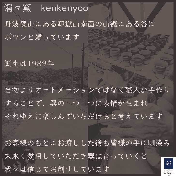 碧シリーズ　碧 青 あお 24cm 和食器 煮物 大鉢 鉢 ボウル おしゃれ   ターコイズブルー  ブルー モダン 広め 麺鉢 ラーメン鉢 サラダボウル  育てる器 食器 陶器 器 「 碧のうつわ ボウル  b-2」　