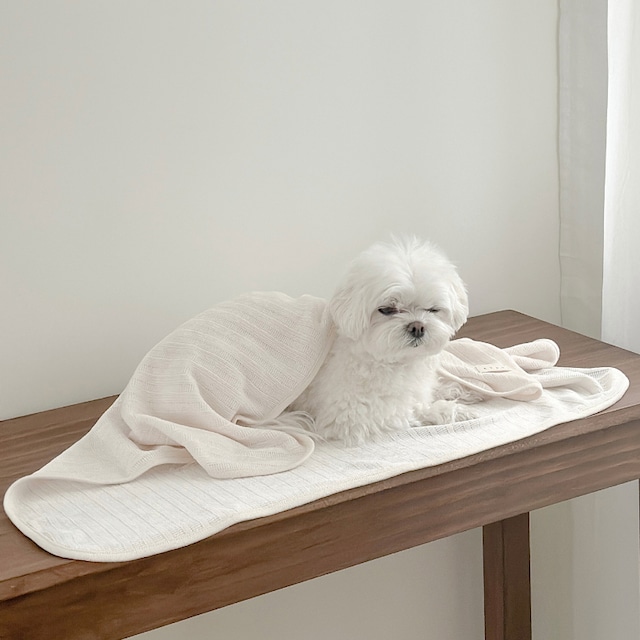 〈予約アイテム〉EYOU ブランケット / ベルベティブランケット