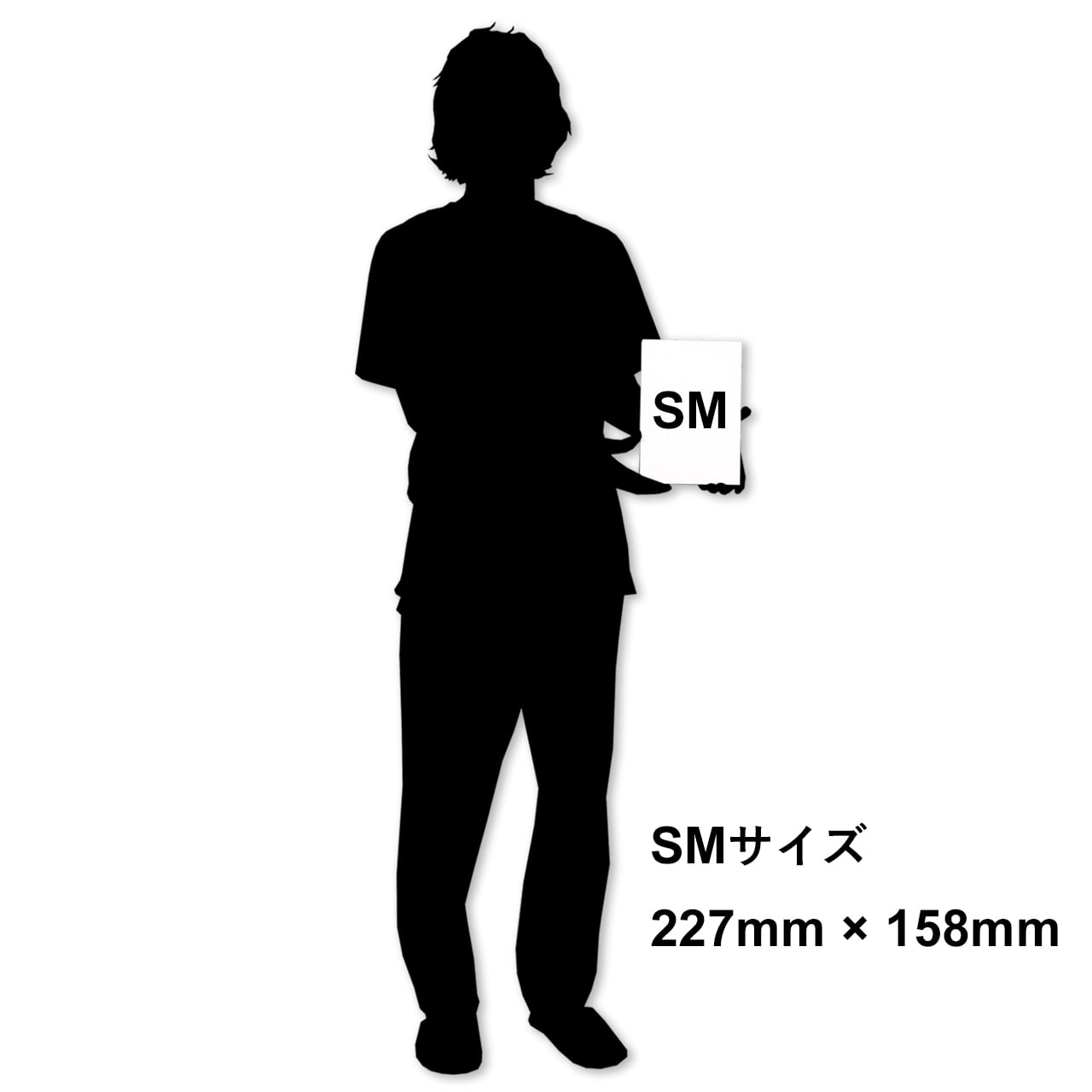 原画 SM 「30495 気分が落ちると約束の価値まで下がると思ってしまう