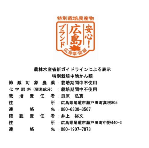 【訳あり】清見 5kg箱(税込・送料込)