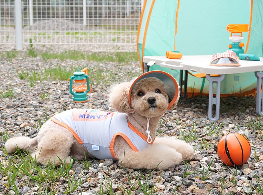 outdoor breeze cool top set S ~ 2XL 2color / 犬服 夏 新作 冷感 トップス タンクトップ 可愛い 犬の服 ドッグウェア サンバイザー 暑さ対策 ワンコ服 UV対策 小型犬 中型犬 猫 top150