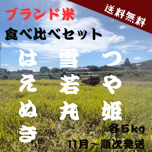 23歳若手農家直送  お米3品種　食べ比べセット（つや姫・雪若丸・はえぬき 各5kg) 送料無料