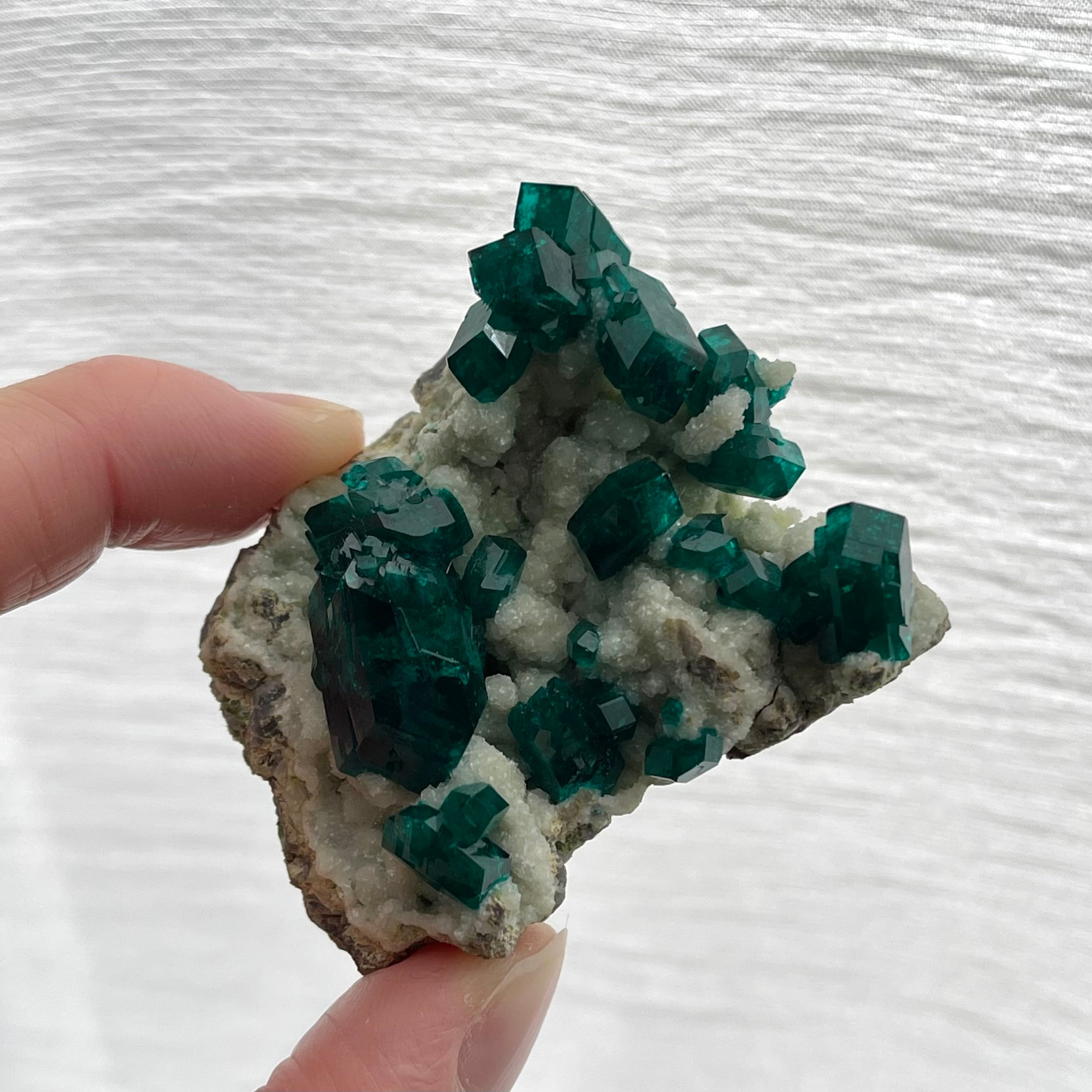 ダイオプテーズ / ダフタイト / カルサイト【Dioptase on Calcite with