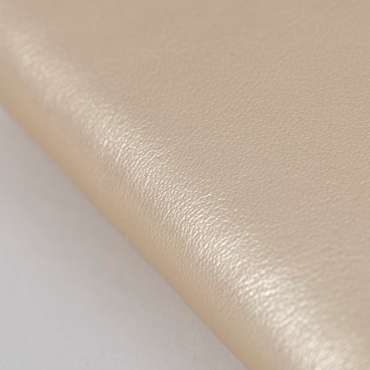 E R A. SPRKNG BUSINESS CARD CASE