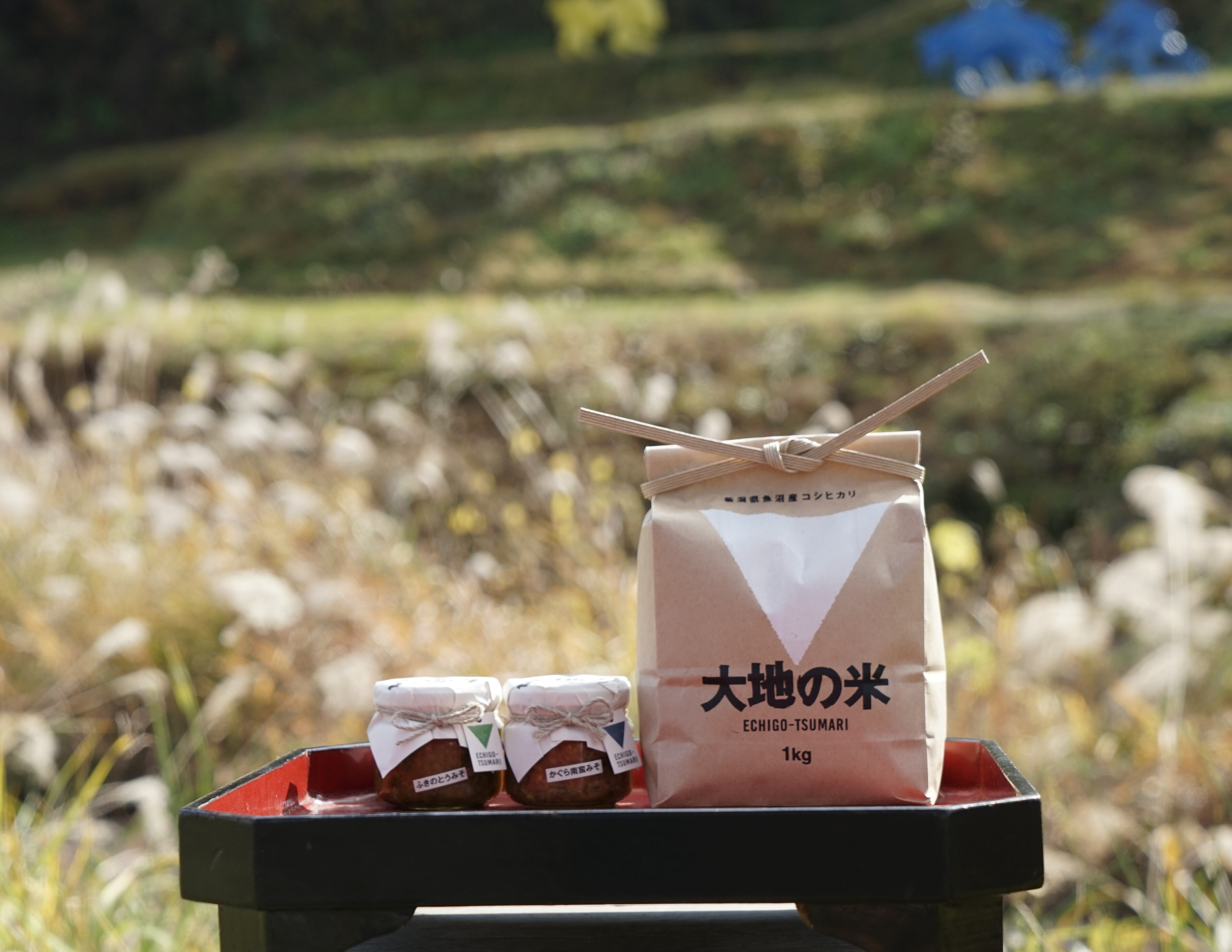 11/20まで 「ふきのとうみそ」と「大地の米」1㎏