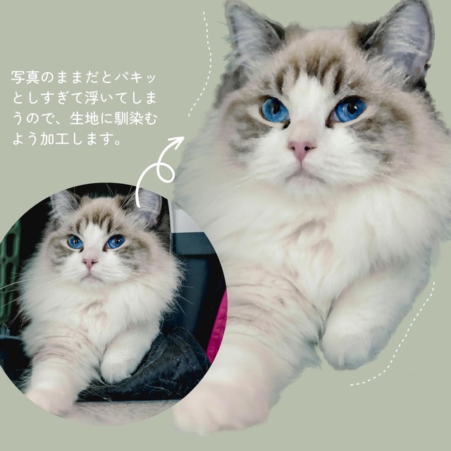 うちの子オリジナルスウェット